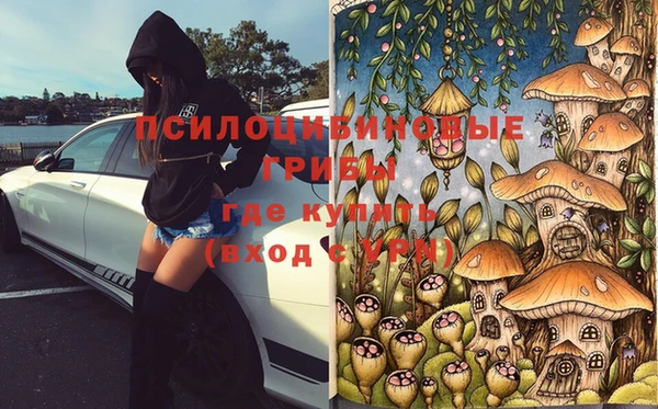 герыч Михайловск