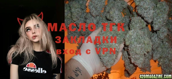 дживик Анжеро-Судженск